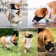 thumbnail image 2 of Traje de bozal para perro, 7 bozales para perro para morder, ladrar, masticar, medianos y grandes, bozal suave y cómodo para perro para hocico largo Sincero Juguete, 2 of 4