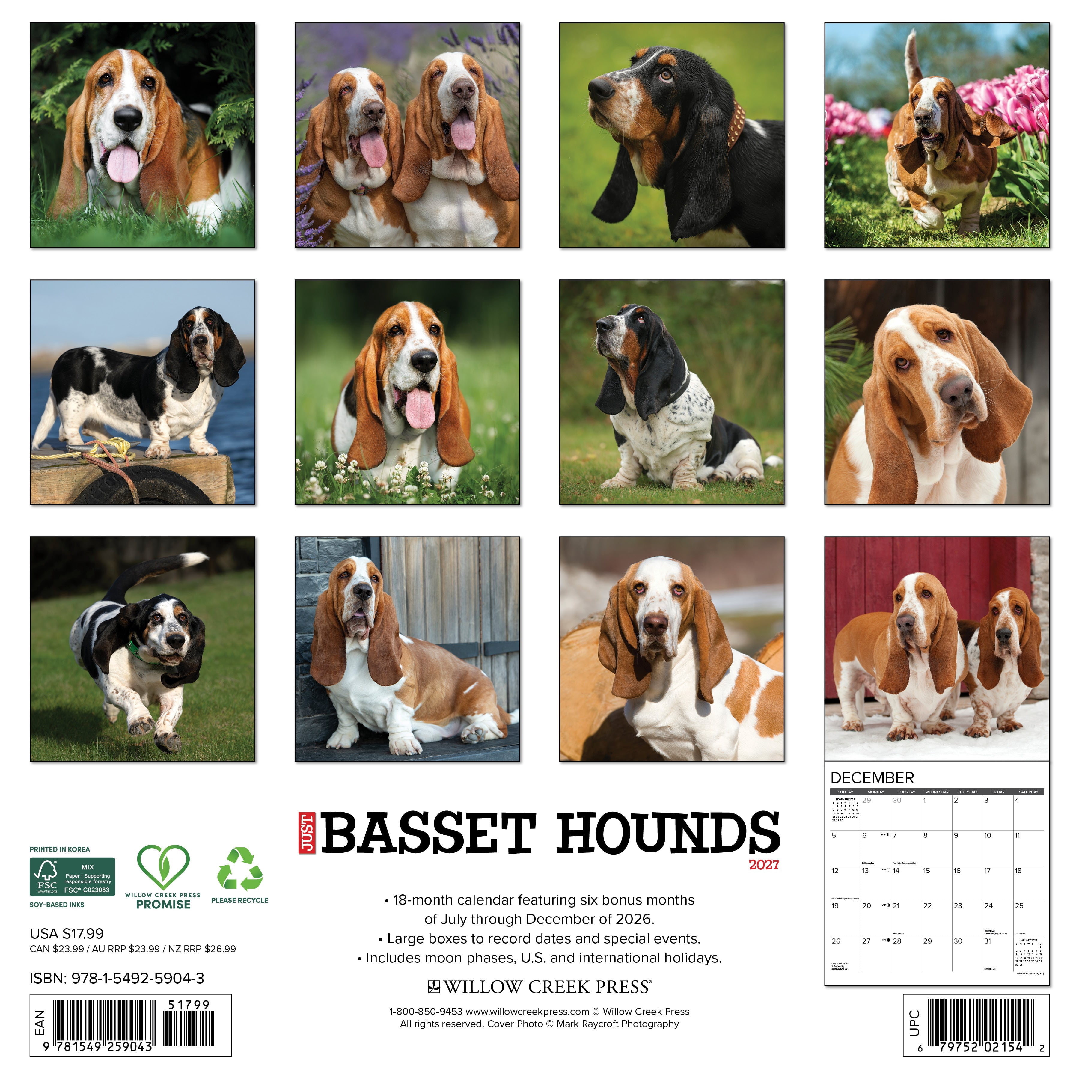 Willow Creek Press, Basset Hounds 2027 Wall Calendar
