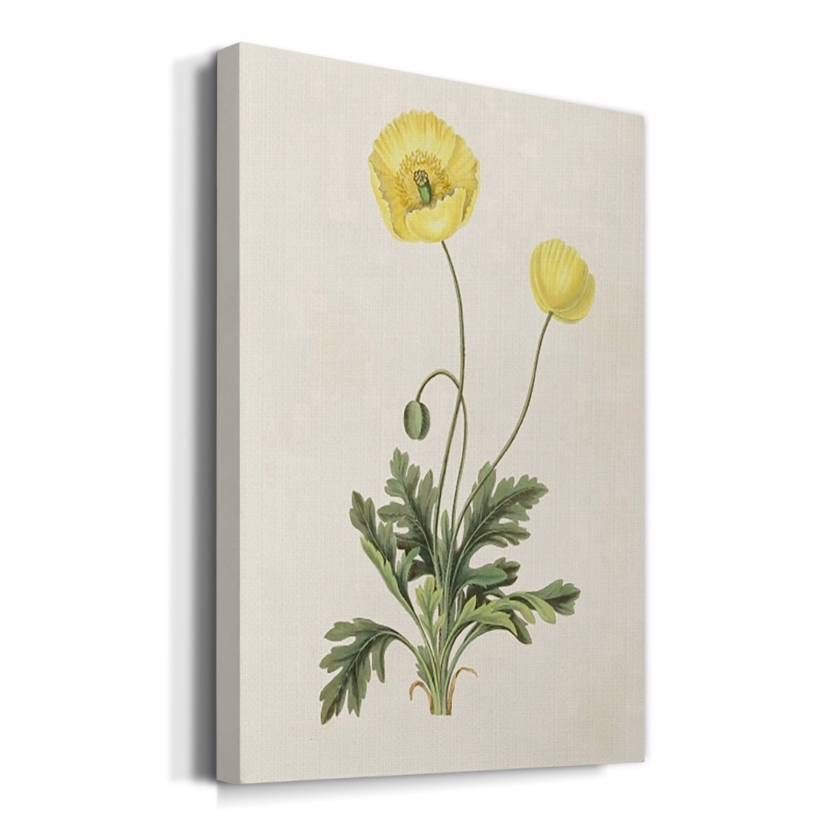 Flowers of the Seasons XII Premium Gallery Wrapped Canvas - Ready to Hang