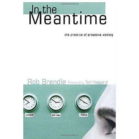 In the Meantime : The Practice of Proactive Waiting 9781400070084 Used / Pre-owned