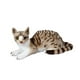 thumbnail image 5 of Toy de peluche de peluche Cat de peluche de gato dibujante de juguetes que acurrucan en una muñeca de gato de peluche coleccionable, largas para gris 25 cm, 5 of 8