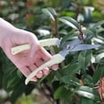 thumbnail image 7 of Professional Stainless Steel Pruning Shears, Ergonomic Bypass Secateurs, Ideal for Trimming Flowers and Plants, Perfect Gardening Tool for Outdoor Enthusiasts, Great Gift for Garden Lovers, 7 of 7