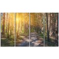 thumbnail image 2 of Thick Forest with Yellow Sun Rays, 2 of 3