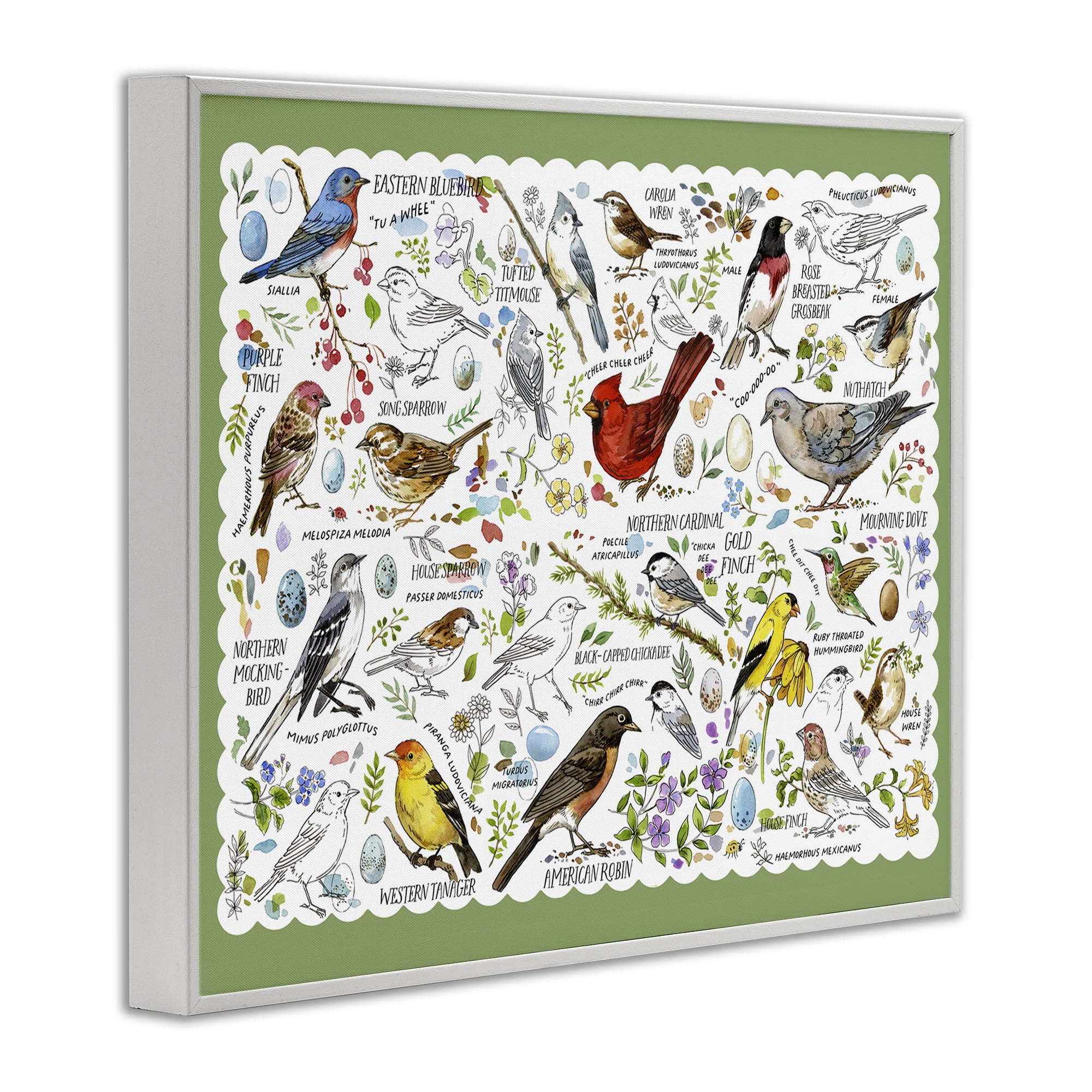 Stupell Industries Various Bird Species Animals & Insects Painting White Framed Art Print Wall Art, 30 x 24