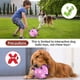 thumbnail image 5 of Pelota de fútbol QDAN Dog Toy con correas de 15 cm para perros pequeños, 5 of 8
