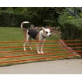 thumbnail image 4 of High Tech Pet Premium Electronic Fence and Containment System for Dogs, 4 of 7