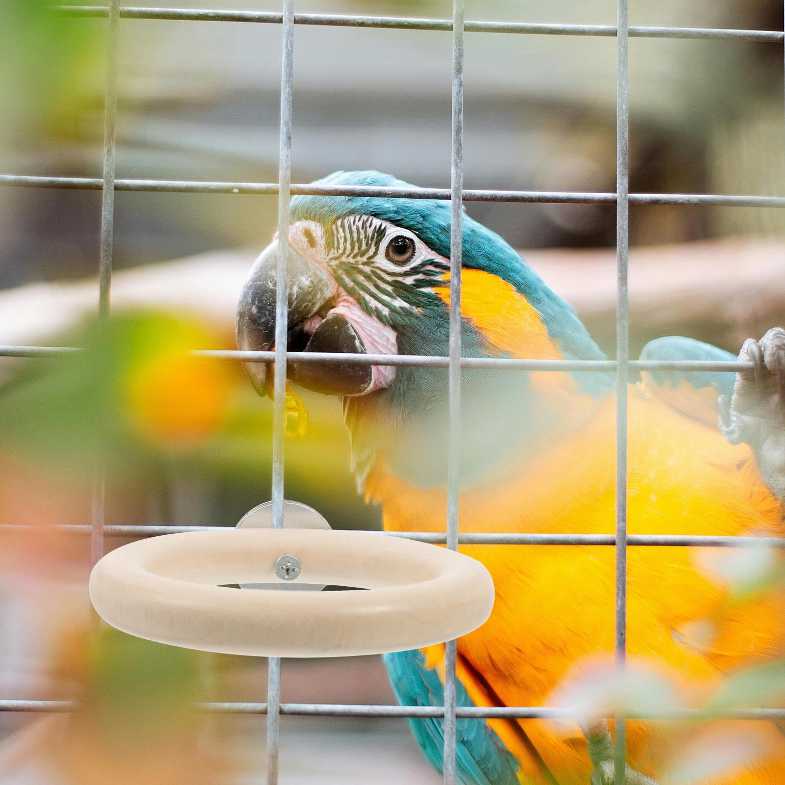 FOMIYES Wooden Parrot Perch Stand with Circular Swing, Bird Cage Accessory for Parakeets, Cockatiels, Conures