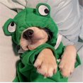 thumbnail image 4 of Pet Drawstring Hoodie Sweatshirt Dog Cosplay Winter Warm Clothing (Frog, XL), 4 of 5