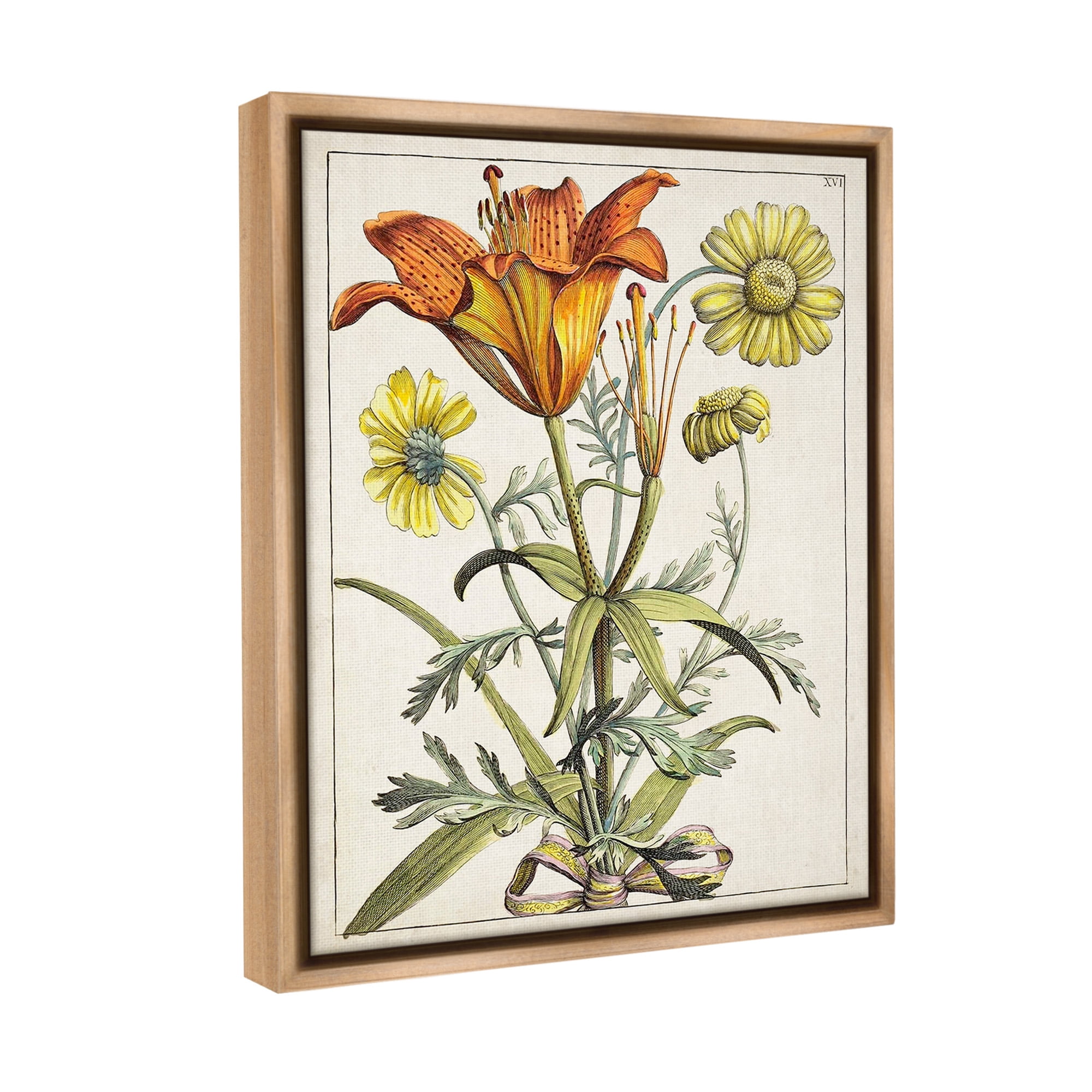 Stupell Industries Flowers Latin Study Botanical & Floral Painting Brown Floater Framed Canvas Art Print Wall Art, 17 x 21