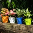 thumbnail image 4 of Plant Pots Set 6pcs Plastic Planters With Trays 16.5*20cm Flower Container For Seedling  Transplanting  Cutting, 4 of 11