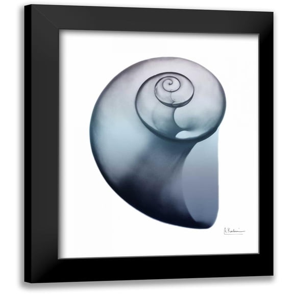 Koetsier, Albert 12x14 Black Modern Framed Museum Art Print Titled - Lavender Snail 2