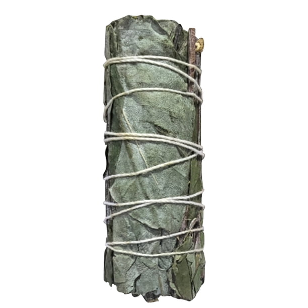 Incienso Eucalipto Natural Con Varillas Purificadoras Aire para Relajación Y Meditación