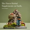 thumbnail image 3 of Gaia Herbs Reishi & Cordyceps - Immune Support with Mushrooms Traditionally Used to Help Maintain Lung & Respiratory Health* - with Reishi & Cordyceps - 40 Vegan Capsules (40 Servings), 3 of 9