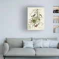 thumbnail image 3 of John James Audubon 'Orchard Oriole' Canvas Art, 3 of 3