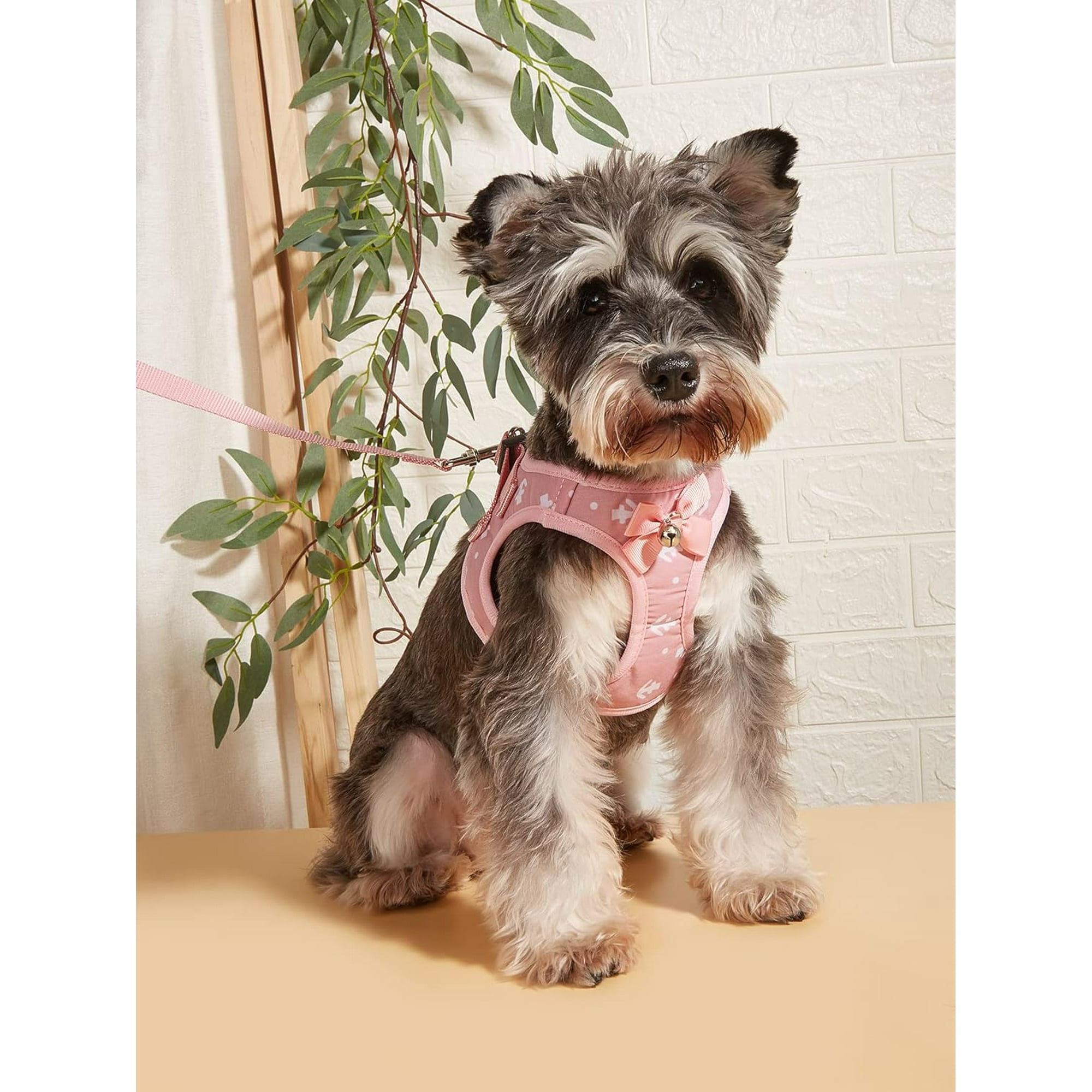 Cute Dog Harness Dog Vest Harness with Leash Set Bell Bow Design Puppy Cat Harness Leash Set for Small Medium Dogs Pink XS Walmart