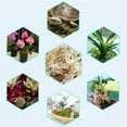 thumbnail image 4 of Nutrition Organic Fertilizer - Sphagnum Moss - Moisturizing Peat Dry Moss - Nutrition Organic Fertilizer  Soilless Culture Fertilizer Substrate Soil  FCompressed Pack, 4 of 5