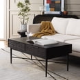thumbnail image 2 of SAFAVIEH Pierre Contemporary 2 Drawer Coffee Table, Black (42 in. W x 22 in. D x 18 in. H), 2 of 14