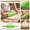 Green, variant on Aesthetic Pastel Pastry Surface Roller, Rolling Pins For Baking Delicate Cookie Dough Fondant, Non-Stick Coquette Style Cake Decoration Modeling Tool, Blossom Pink, 1 PC
