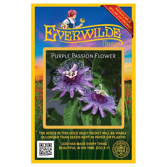 Everwilde Farms - 5 Purple Passion Flower Native Wildflower Seeds - Gold Vault Seed Packet