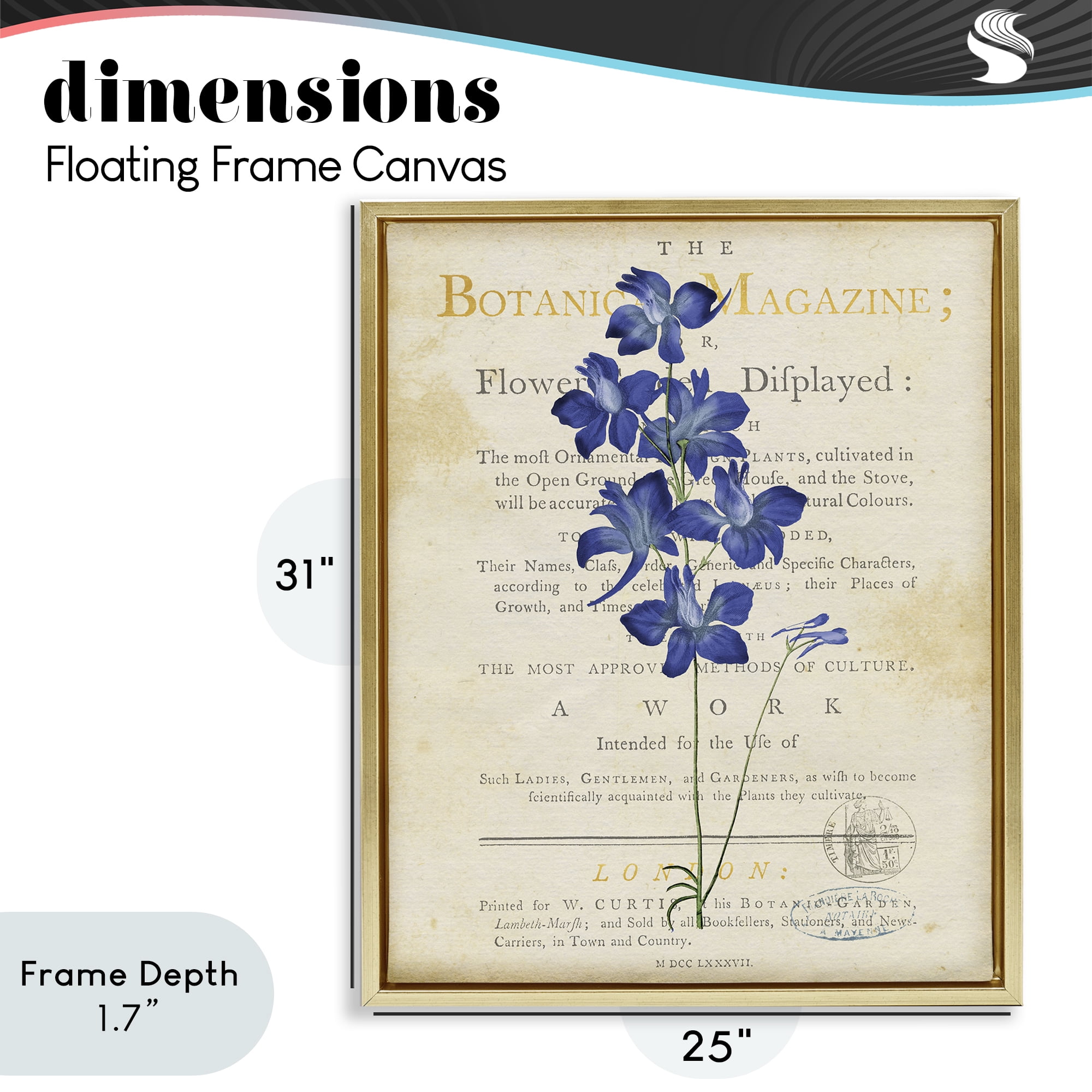 Stupell Industries Natural Botanic Garden Flower Gold Framed Floater Canvas Wall Art, design by Susan Arnot