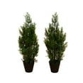 thumbnail image 2 of Nearly Natural 2ft. Artificial Cedar Pine Tree UV Resistant (Indoor/Outdoor) - Set of 2, 2 of 5
