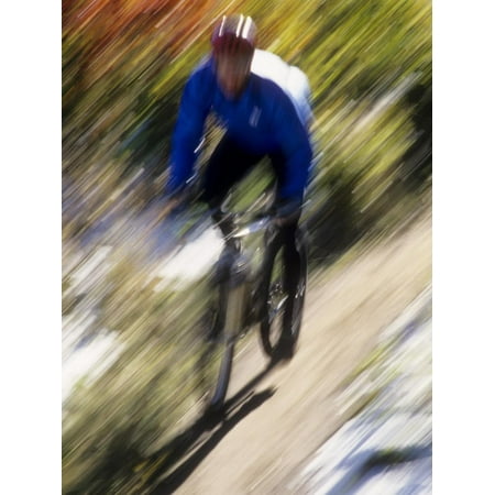 Blurred Action of Recreational Mountain Biker Riding on the Trails Print Wall (Best Recreational Mountain Bike)
