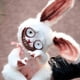 thumbnail image 2 of Easter Bunny Plush Toy Horror Rabbit Doll Soft Toy Room Decoration Baby Boy Girl Toy Children Birthday Gift Popular Toy 2023, 2 of 2