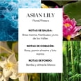 thumbnail image 2 of Esencia ambiental para difusor profesional Lumara Asian Lily - Inspirado en el Hotel Wynn Las Vegas 250ml, 2 of 5