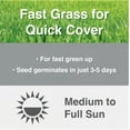 thumbnail image 3 of 3 lbs. Fast Grass Seed Mix with Water Saver Seed Coating, 3 of 5
