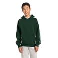 thumbnail image 1 of SPORT-TEK Sudadera con capucha y manga a rayas para niños L Verde bosque/Blanco deporte-tek YST265, 1 of 1