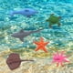 thumbnail image 4 of Paquete De 6 Gelatinas Sensoriales Con Criaturas Marinas Que Crecen En Agua. Increíble Juguete Educativo Para Niños Y Niñas (6 Criaturas Marinas Y Colores Surtidos)., 4 of 8