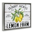 thumbnail image 4 of Stupell Industries Sunny Acres Lemon Farm Food & Beverage Painting Gray Floater Framed Canvas Art Print Wall Art, 21 x 17, 4 of 10