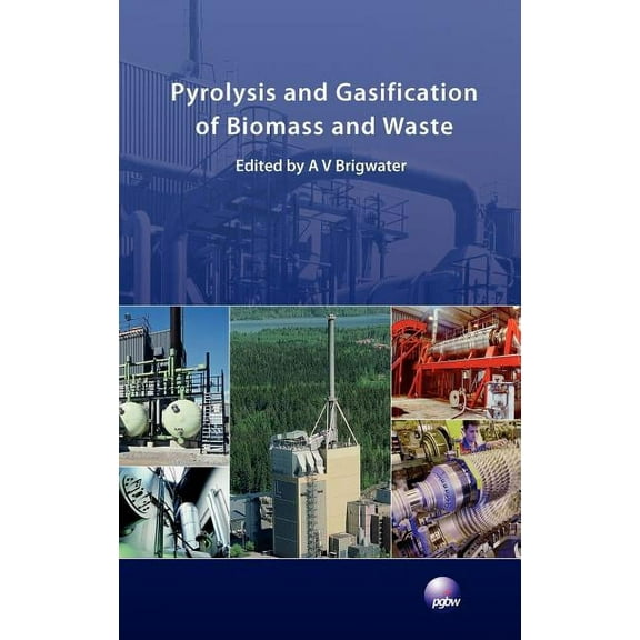 Pyrolysis and Gasification of Biomass and Waste (Hardcover)