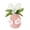 Pink-PK-home supplies, variant on LEFTHIGH Home Simulated Easter Egg Decorative Hanging Ornaments Plastic Holiday Party Decor for Doors Walls Windows 12x9x5cm Multicolor Assorted Home Organization
