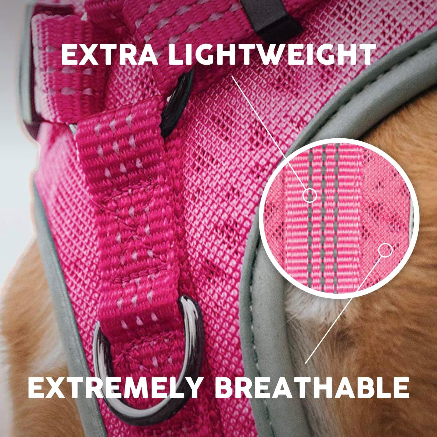Embark Sports Dog Harness, Dog Harness for Medium Dogs No Pull with Light and Breathable Design - No Pull Dog Harness with Handle for Control. Easy On and Off, Size Adjustable, Non Choke Pink Vest
