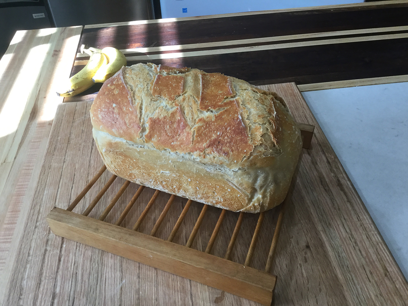Genuine San Francisco Sourdough Starter with Foolproof Recipe by ...