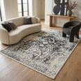 thumbnail image 3 of Rug Branch Sakarya Collection Distressed Oriental Indoor Area Rug, 3 of 8