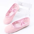 thumbnail image 1 of Zapatos de Ballet para niñas, zapatillas de baile de Ballet de suela blanda de lona, zapatos de bailarina de práctica para niños, zapatos de baile para mujer Tan Jianjun unisex, 1 of 2