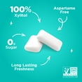 thumbnail image 3 of PUR Gum, Aspartame Free, Sugar Free & 100% Xylitol, Wintergreen Chewing Gum, 9 Pieces, Pack of 12, 3 of 7
