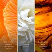 Origen Yucatan Midnight Amber Hair and Body Mist, Vibrant and Solar Floral Amber Fragrance for Women, 7.9 oz