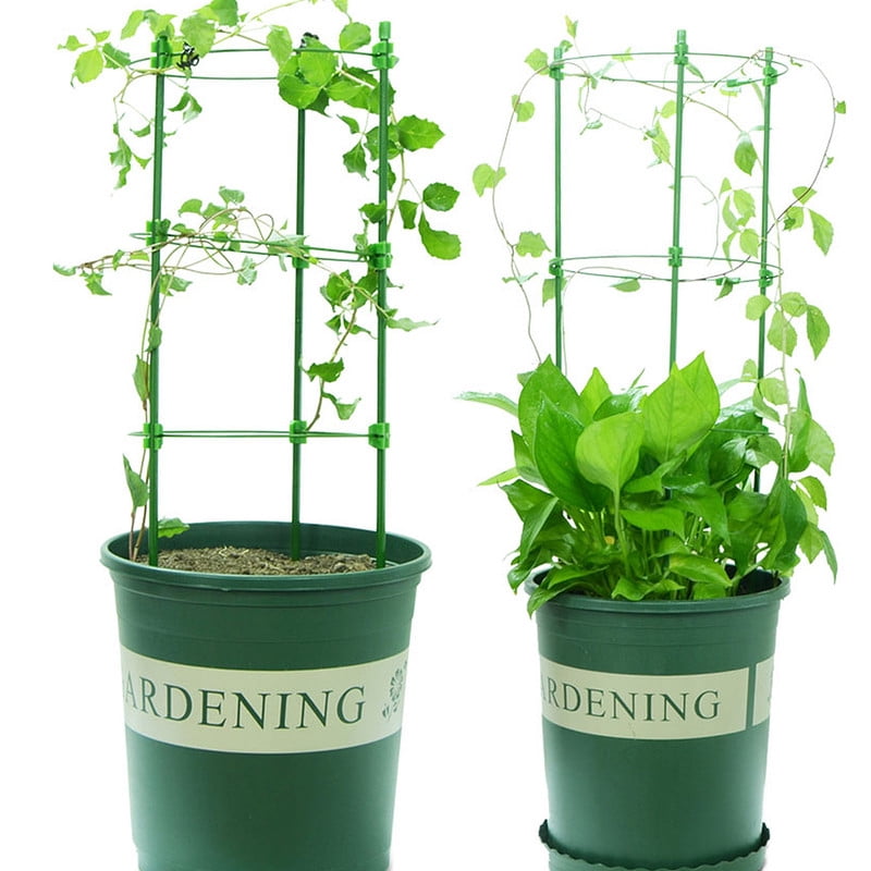 6 Packs 18inch Plant Support Cages for Home Garden Balcony for Orchids, Tomato, Vegetables, Flowers, Climbing Plants
