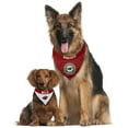 thumbnail image 4 of Pets First NHL Minnesota Wild Bandana! NEW Reversible Pet Bandana - 2 sided Premium Bandanna, 4 of 5