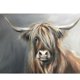 thumbnail image 1 of Cuadros Decorativos 5D cabeza de vaca completo redondo taladro diamante pintura arte Kit ilustraciones hogar pared decoración Ehuebsd Nuevos Originales, 1 of 5