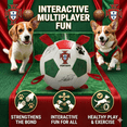 thumbnail image 6 of PAWZ Road Dog Toy Portugal Team Signature Football Interactive Toy, 6 of 9
