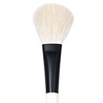 thumbnail image 1 of CEPILLO DIXON TIC/PRINCETON DIXON TIC/PRINCETON BRUSH  PB2850FB075, 1 of 1