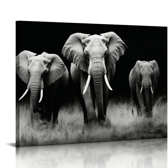 Acheng Black White Elephant Contemporary African Animal Wall Art Canvas Print Framed Picture Modern Painting for Living Room Office Bedroom Decor 20x16in