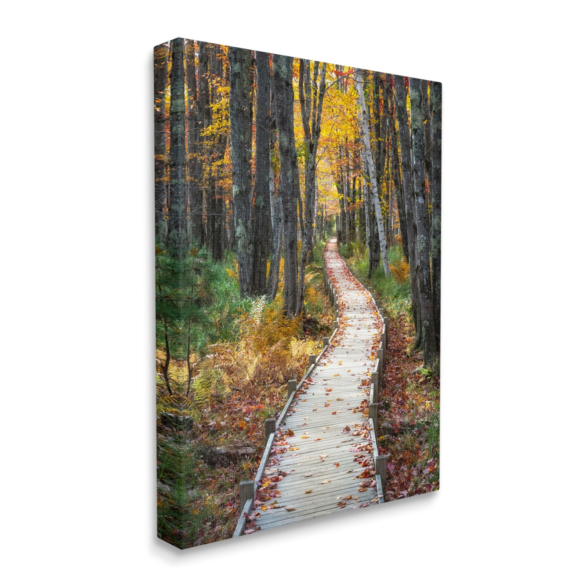 Stupell Industries Nature Path Autumn Foliage Landscape Photography Gallery Wrapped Canvas Print Wall Art
