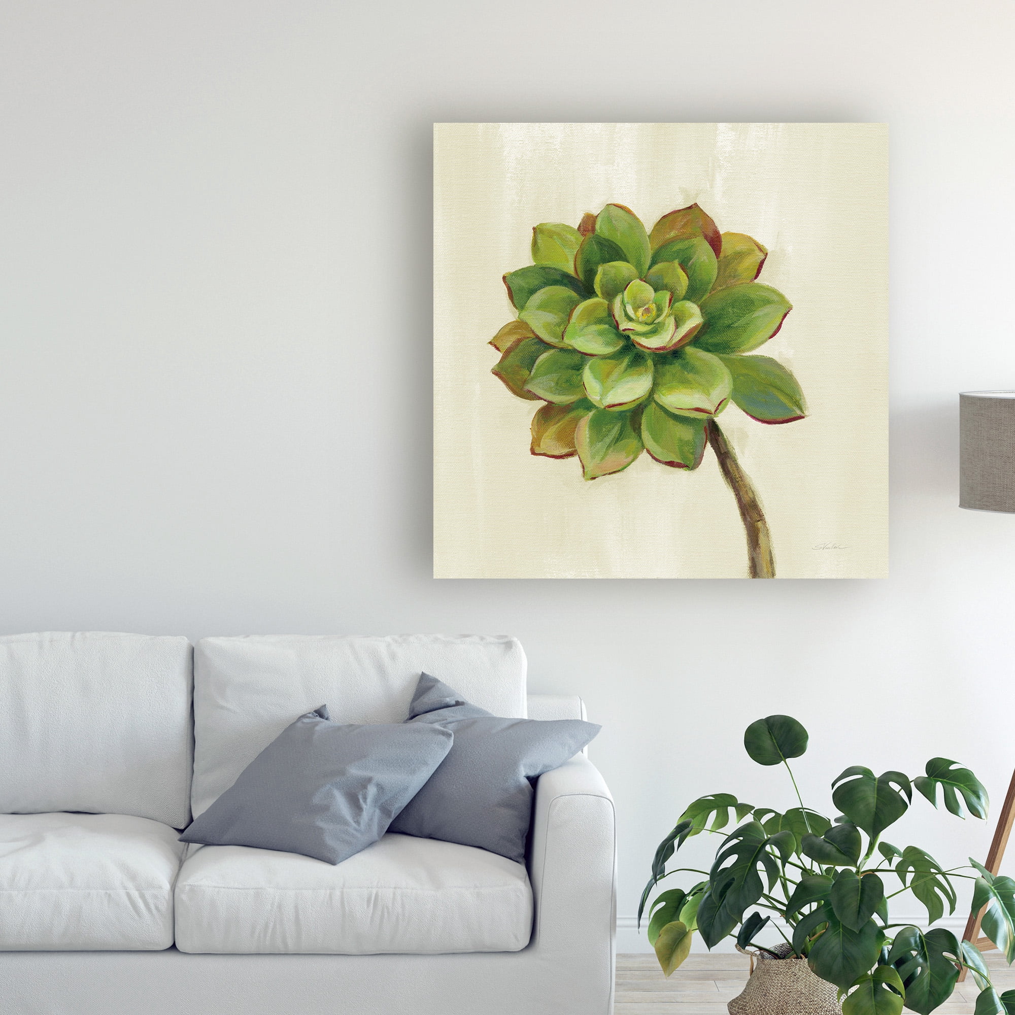 Trademark Fine Art 'Front Yard Succulent IV' Canvas Art by Silvia Vassileva