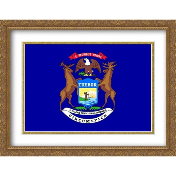 Michigan State 2x Matted 36x28 Large Gold Ornate Framed Art Print by The Flag Art Print Series