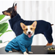 thumbnail image 3 of Ropa gruesa de algodón de cuatro esquinas para otoño e invierno Abrigo impermeable para perros Chaqueta cálida de invierno Ropa para cachorros a prueba de viento para perros pequeños, medianos y grandes, azul(XS) ER, 3 of 5